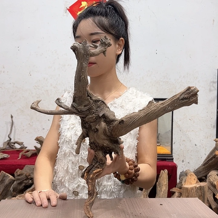 柏木伟***品我们都是好孩子啊我