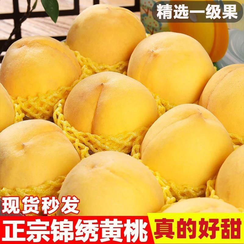 （顺丰送货上门）锦绣黄桃新鲜水果纯甜现摘黄毛桃整箱顺丰包邮桃子