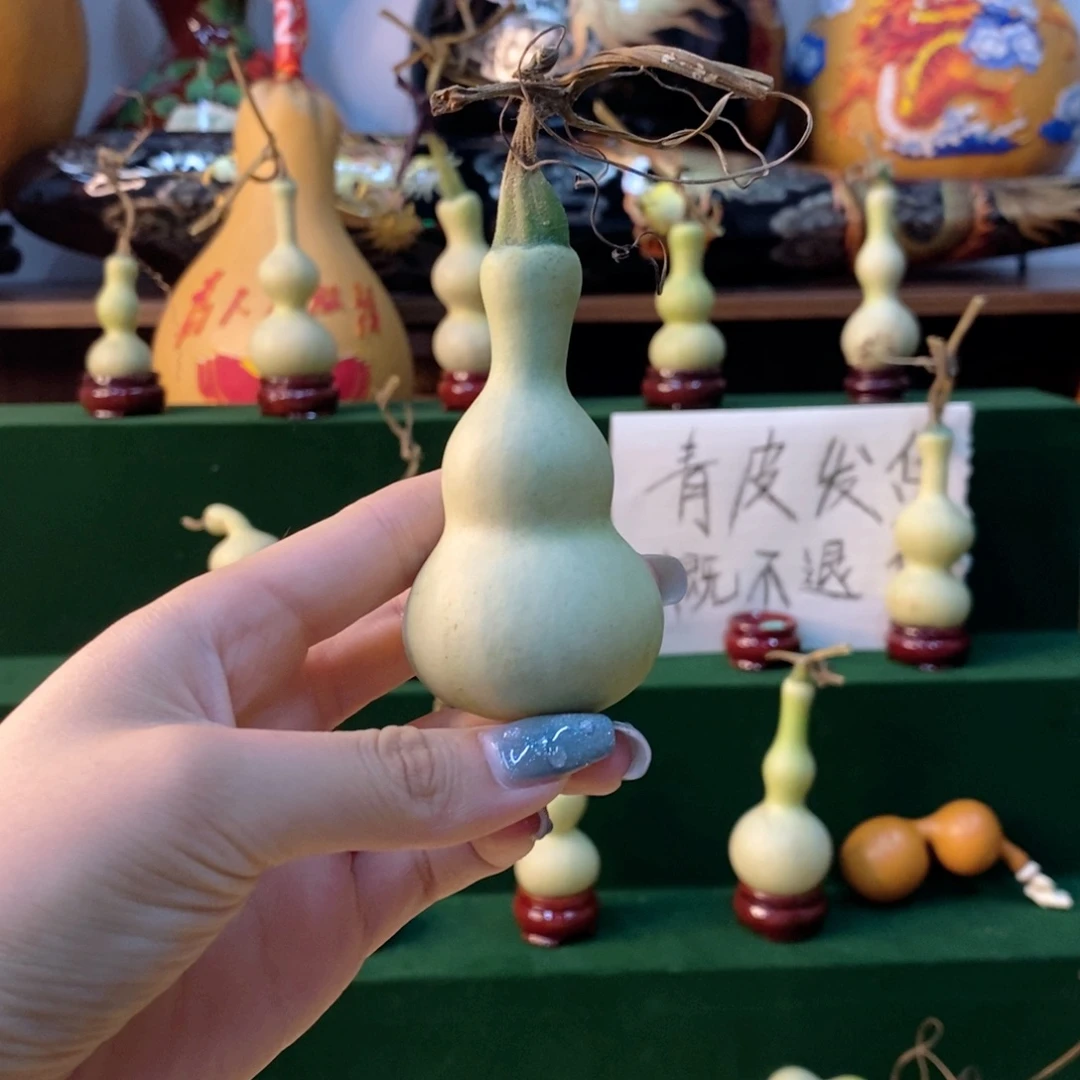 葫芦等工具的户口本105