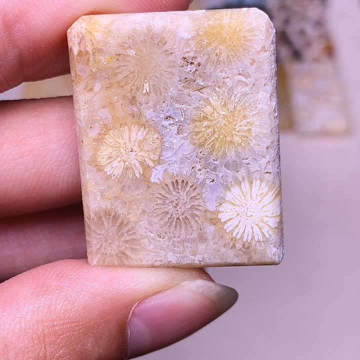 森***烛硅化玉合金珊瑚玉