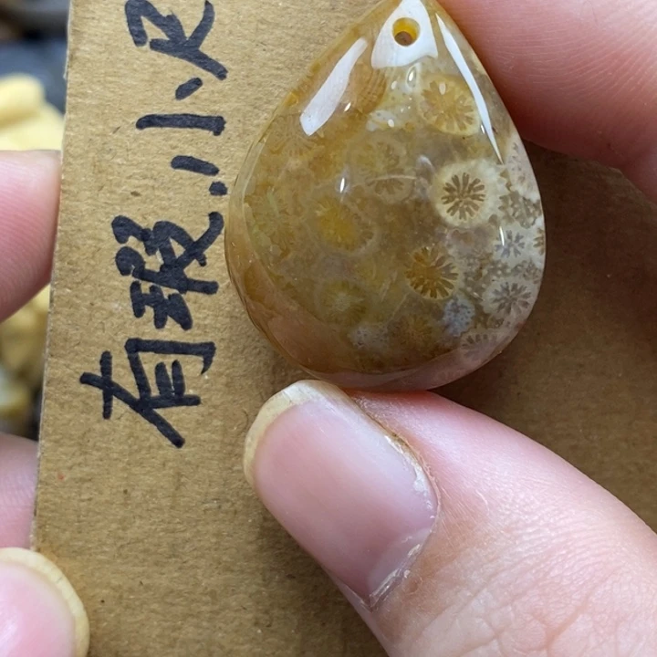 硅化珊瑚（珊瑚玉）未镶嵌颈饰