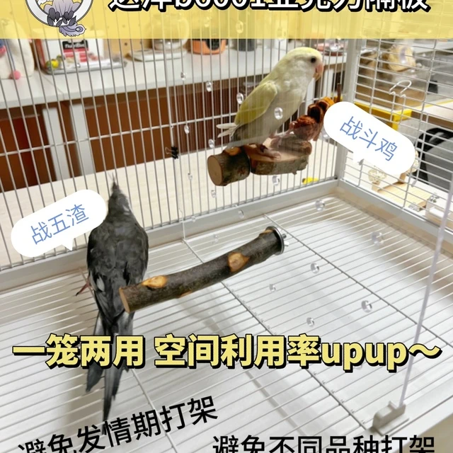 达洋B6001分隔板鸟笼隔板鸟笼中间隔板达洋鸟笼挡板亚克力透明板