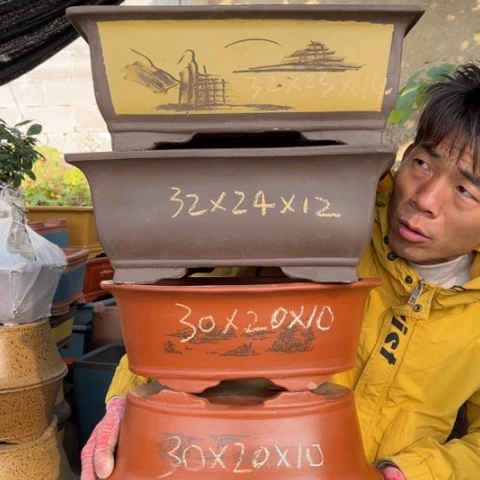 花盆紫砂特价包邮秒杀