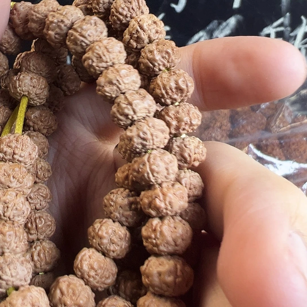 金刚菩提吊坠矮桩莲花9米不保