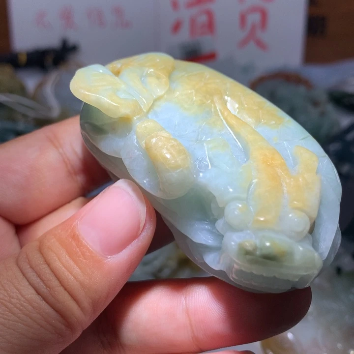 翡翠颈饰未镶嵌保真天然A货翡翠