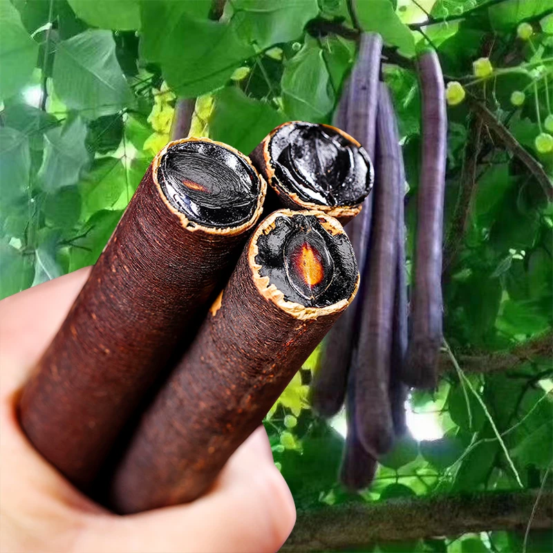 云南高山植物腊肠果250g人工选货无坏果无花果2025年新货干净正品