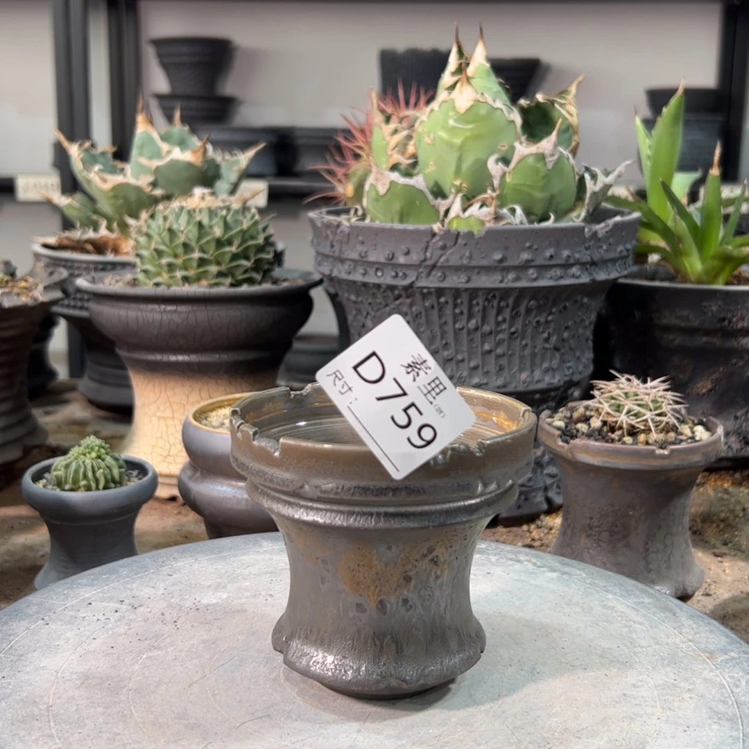 景德镇手工素里内口9.5公9