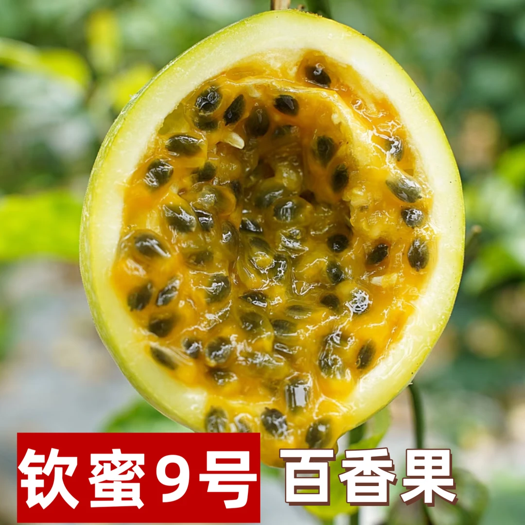 农产品钦蜜九号黄金百香果现摘现发产地直发九甜一酸新鲜百香果