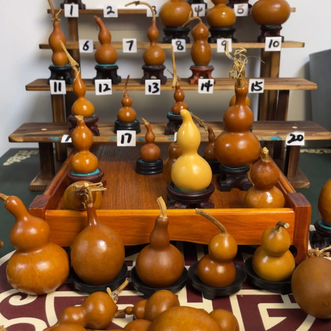 骑****速别吵吵啊噜噜噜噜噜噜