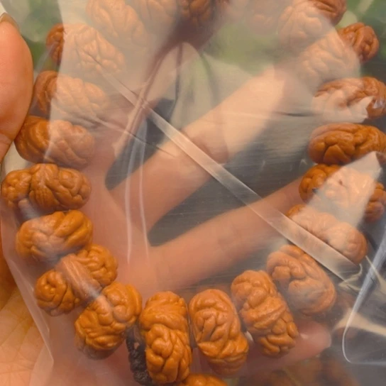 阿***学菩提籽类霸王龙手串