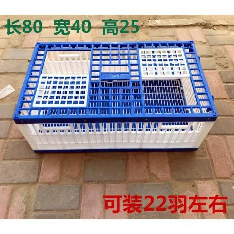 鸽子用品鸽子放飞笼训放报道信鸽塑料笼鸽子笼便携耐用