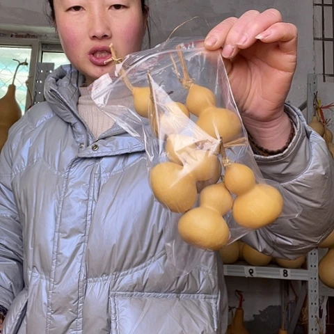 林*子天然植物葫芦文玩