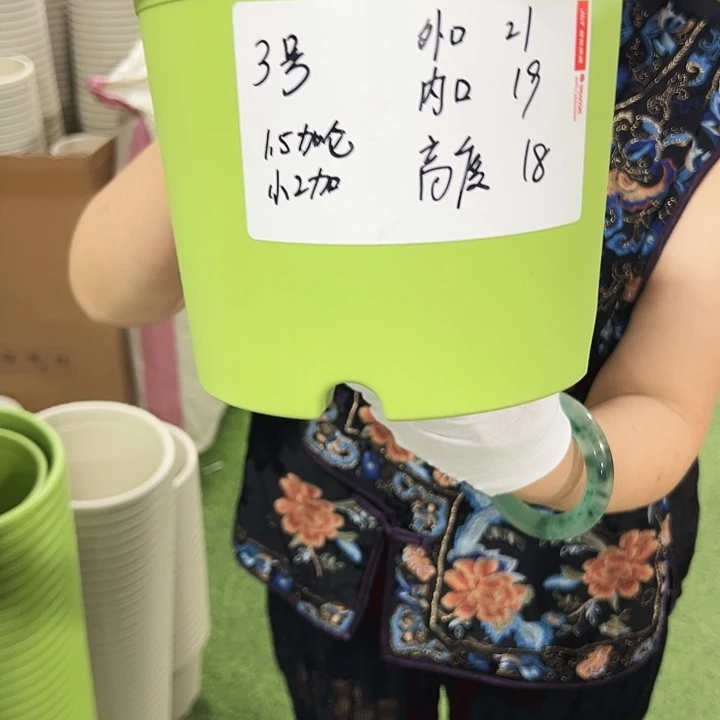 特价3号四季口21高18果绿无托10只