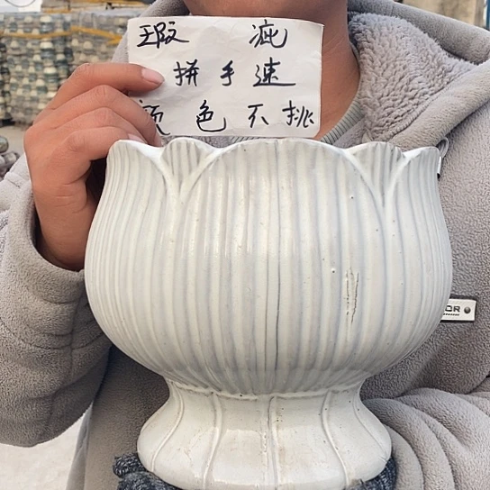 瑕疵颜色不挑瑕疵