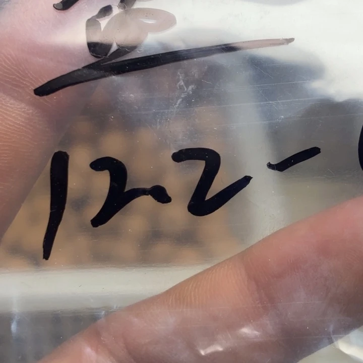 何**天聚宝盒12小十同尺