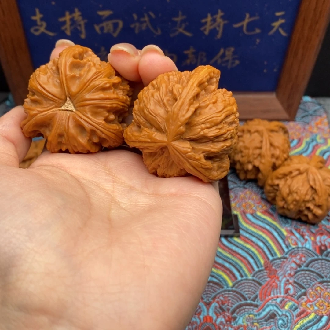 【闪购商品】心*国白狮