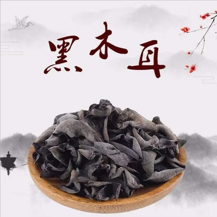 头茬秋木耳肉厚无根1斤M