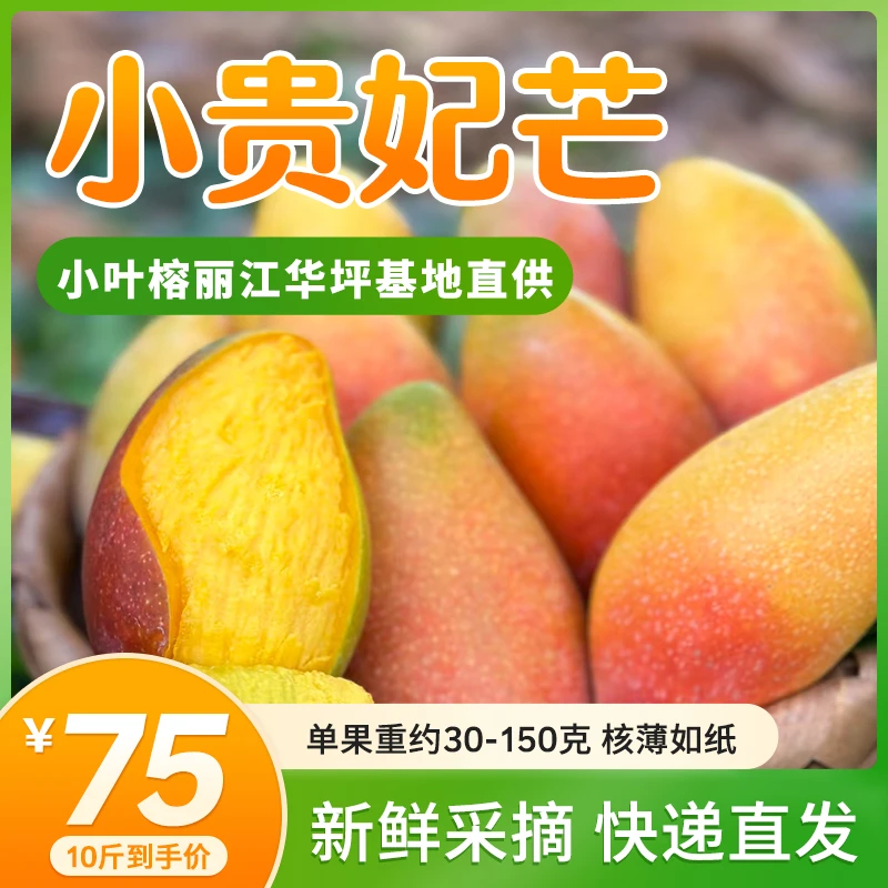 【芒果之乡-小贵妃芒10斤】华坪基地直供-无籽如蜜饯-小芒果大甜度