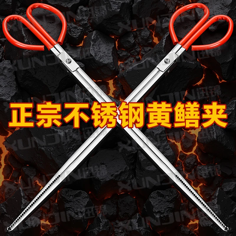 鳝鱼夹泥鳅螃蟹钳子不锈钢黄鳝夹子防滑防脱抓捉专用工具赶海神器