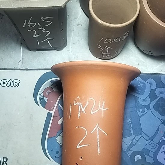 大红兰花两个花盆