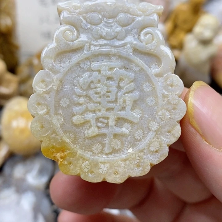 颈饰未镶嵌硅化珊瑚（珊瑚玉）