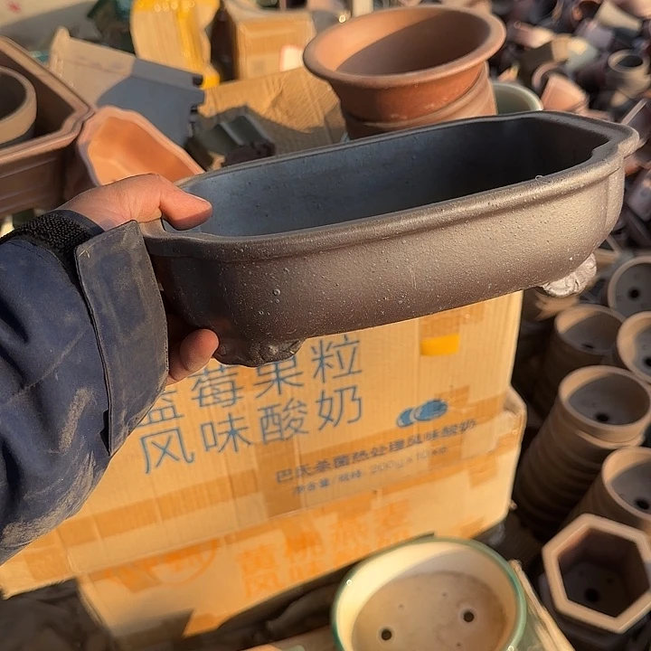 这几句真的好好啊哈哈好好听我要疯