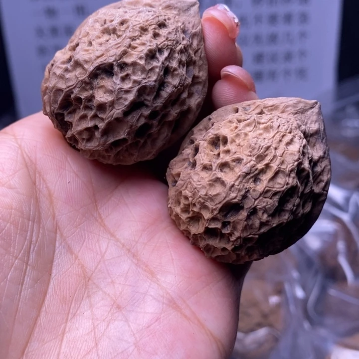 核桃云南野生铁核桃5号42mm