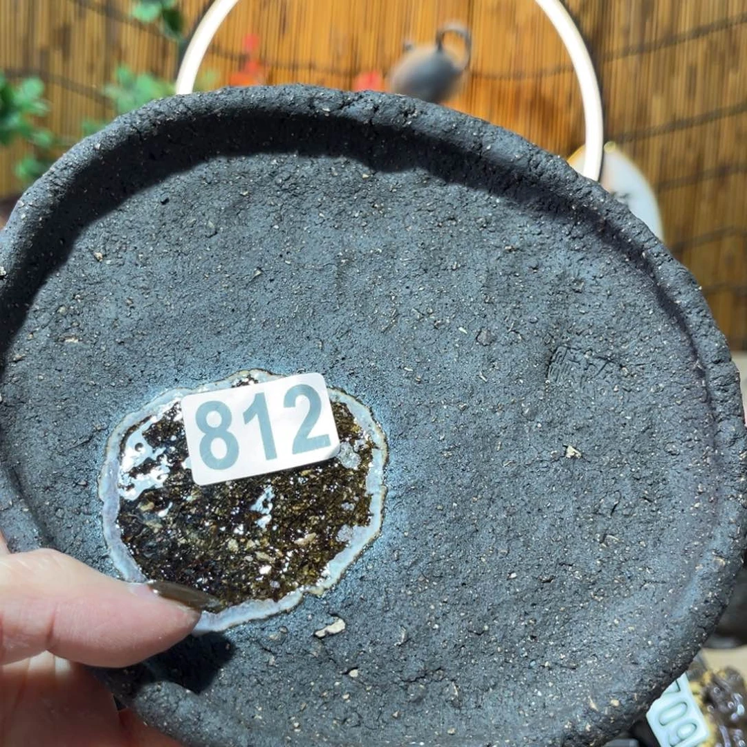 木村信弘柴烧保平