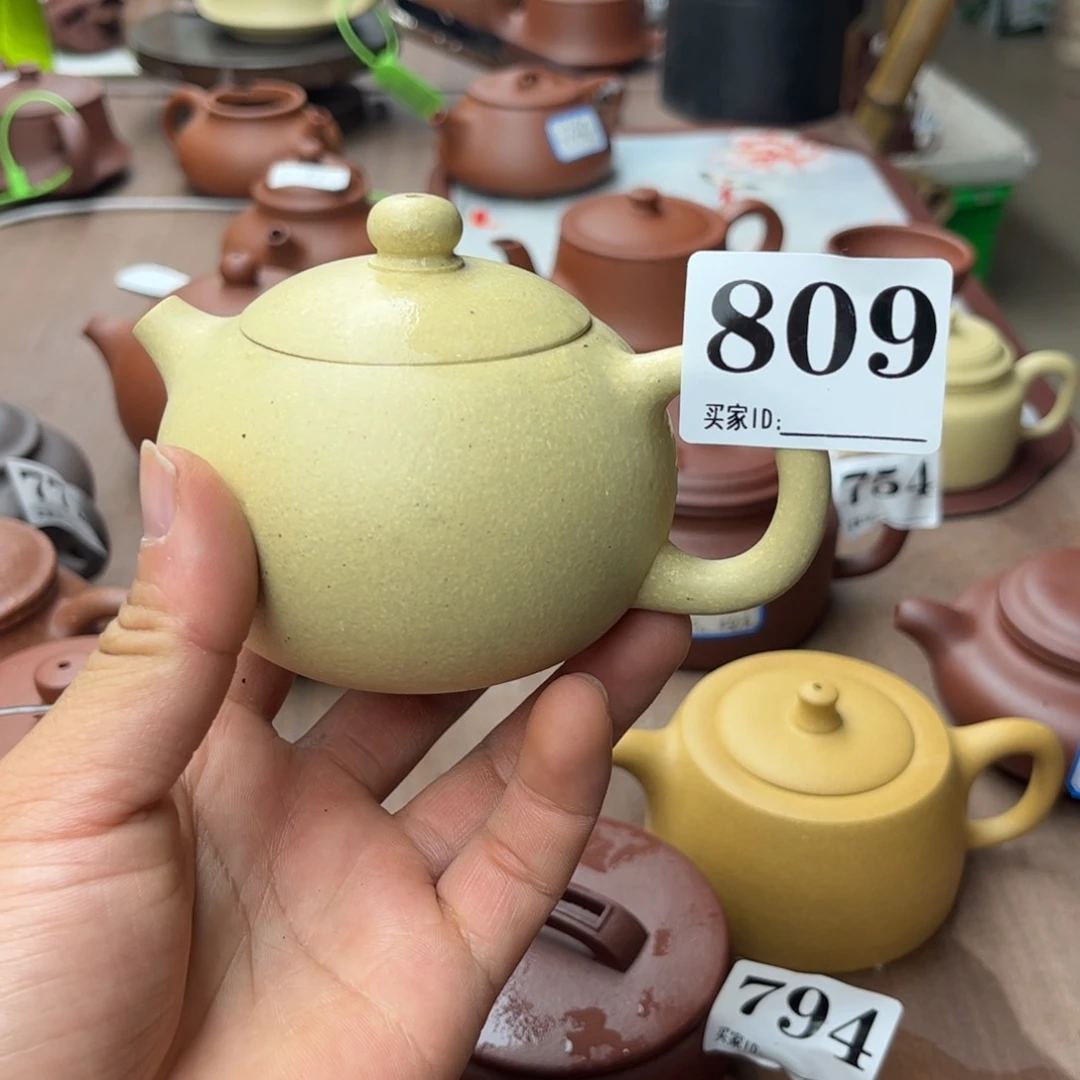 紫砂茶壶本绿西施220左右