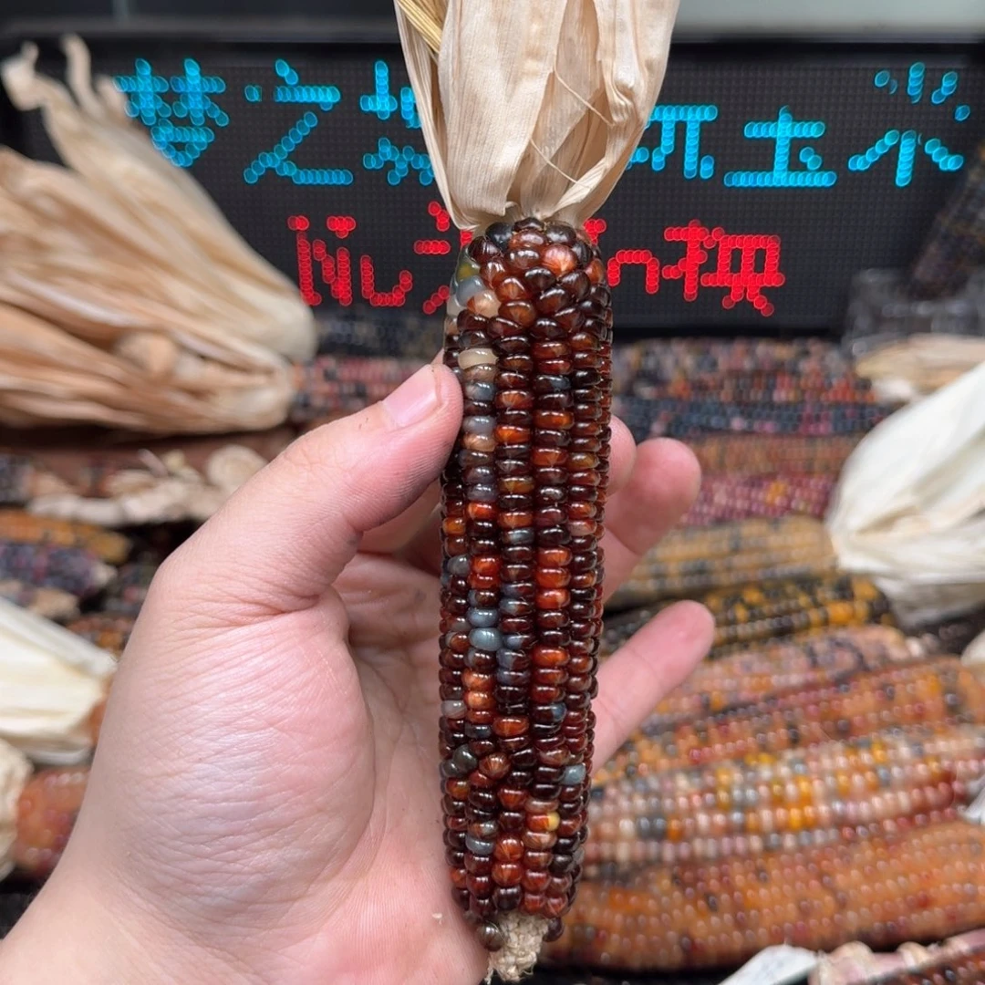 柏香籽/百香籽吊坠蒙*优