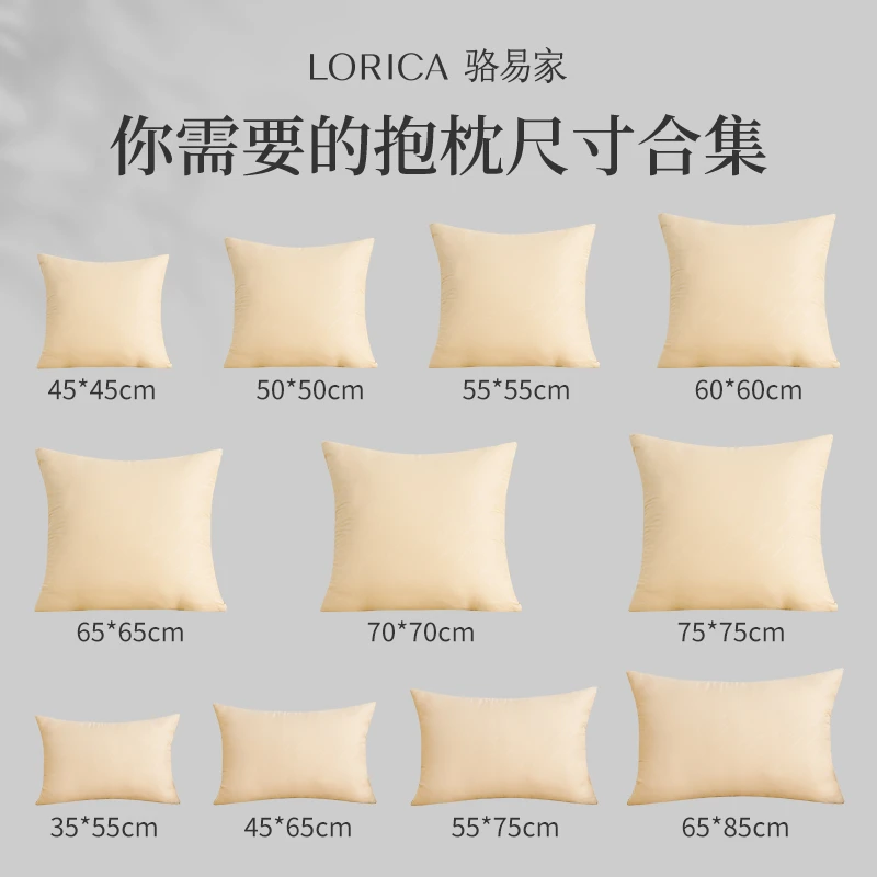 骆易家抱枕芯内胆靠垫靠枕45 50 55 60卧室沙发靠枕芯羽丝绒枕芯