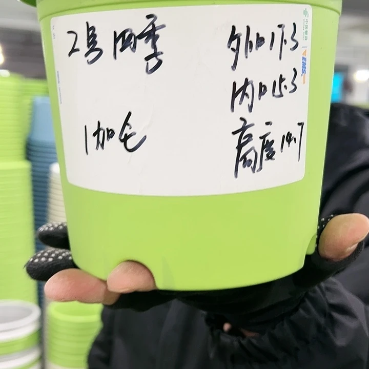 特价2号四季口17高14白色10个无托