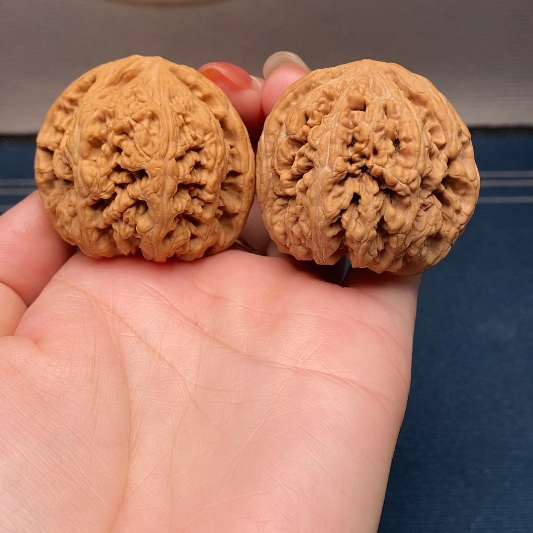 文玩核桃把件8粗筋45