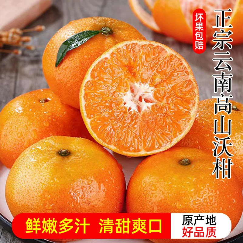 【坏果包赔】云南高山沃柑新鲜水果柑橘蜜桔有籽
