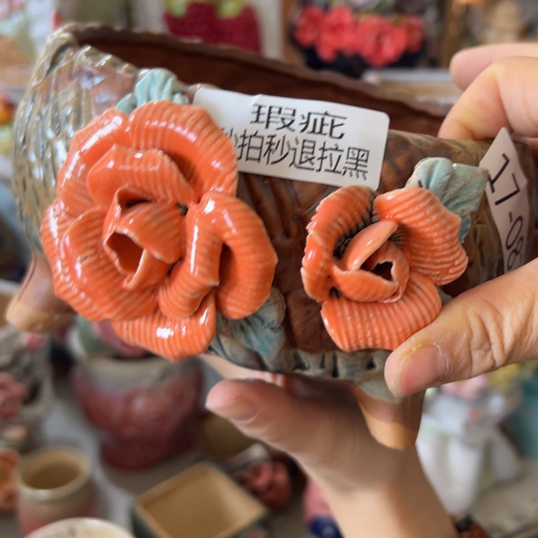 多肉花盆，满20米发货爱退款拉黑