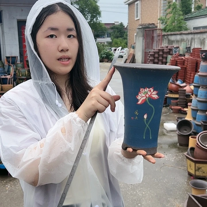 一念花开蓝色小号