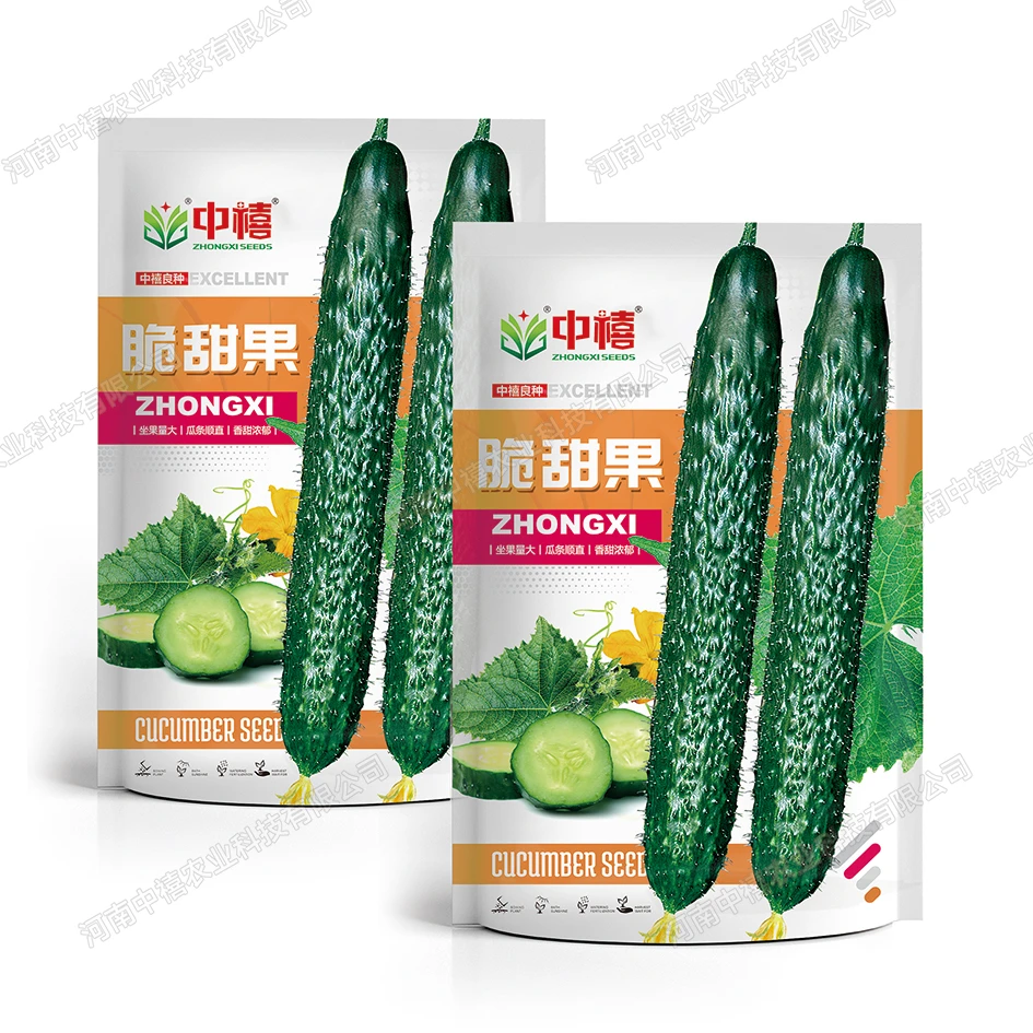 春播-中禧脆甜果种子绿心黄瓜种子脆嫩爽口可生吃凉拌种子