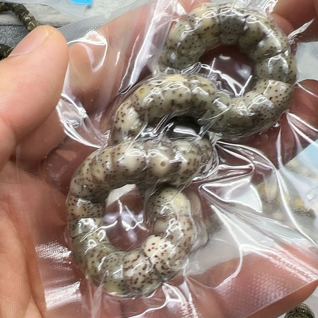 星月菩提手串35卓越糯冰石玉星月菩提单圈大肠10