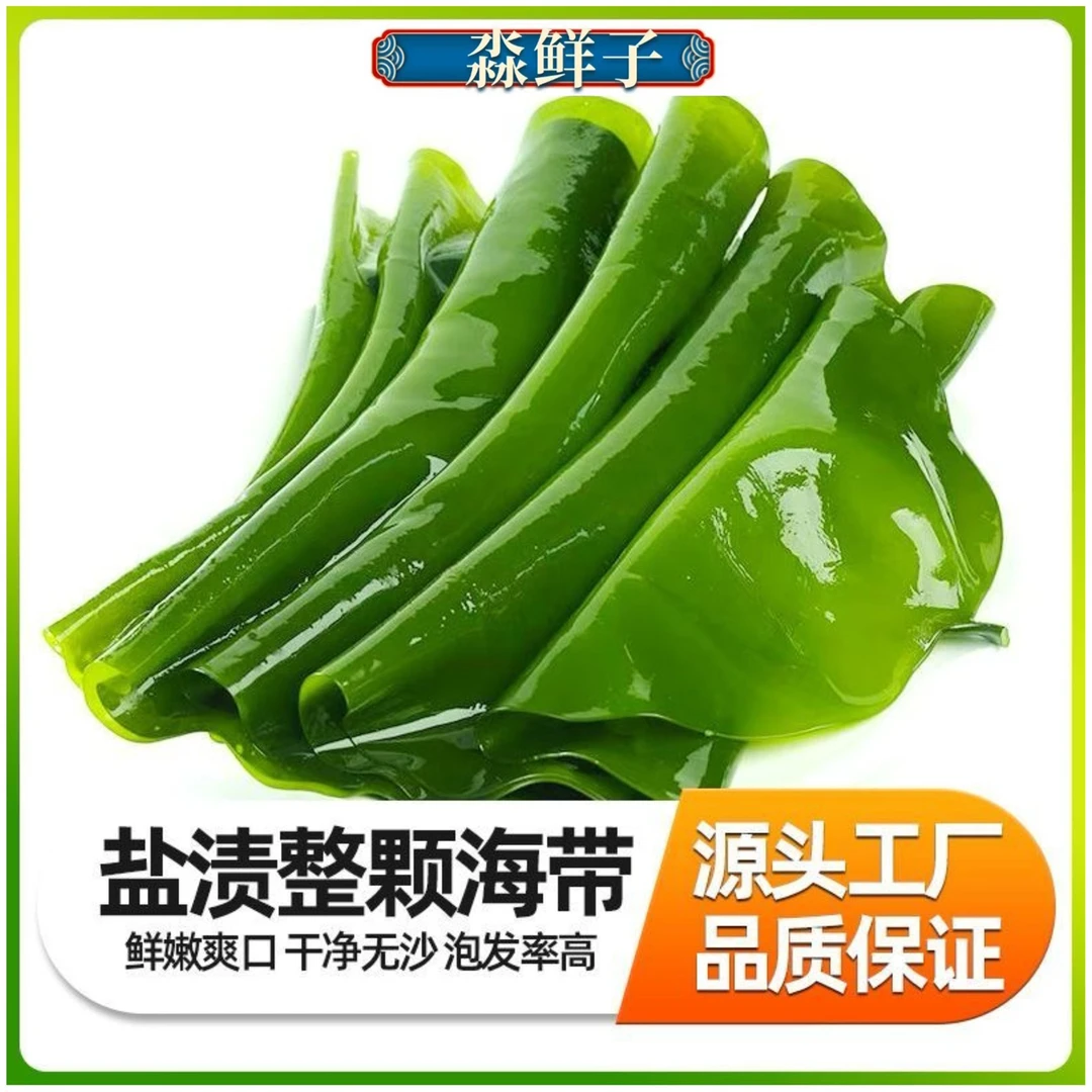 推荐旅顺饭包菜整颗海带盐渍新海带 5斤(带箱)新鲜食用鲜嫩