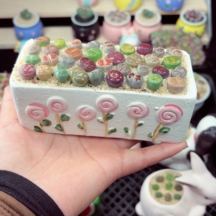 562零下地区记得拍保温箱