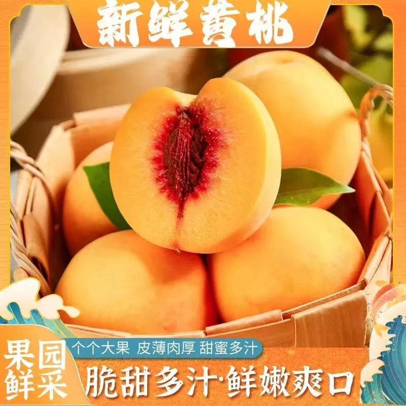 【旭哥专属】新鲜黄桃果香浓韵脆甜多汁鲜嫩爽口现摘现发产地直供