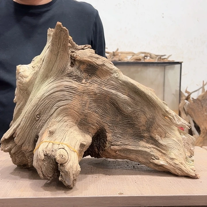 柏木洋**龙我们都是好孩子呀我也