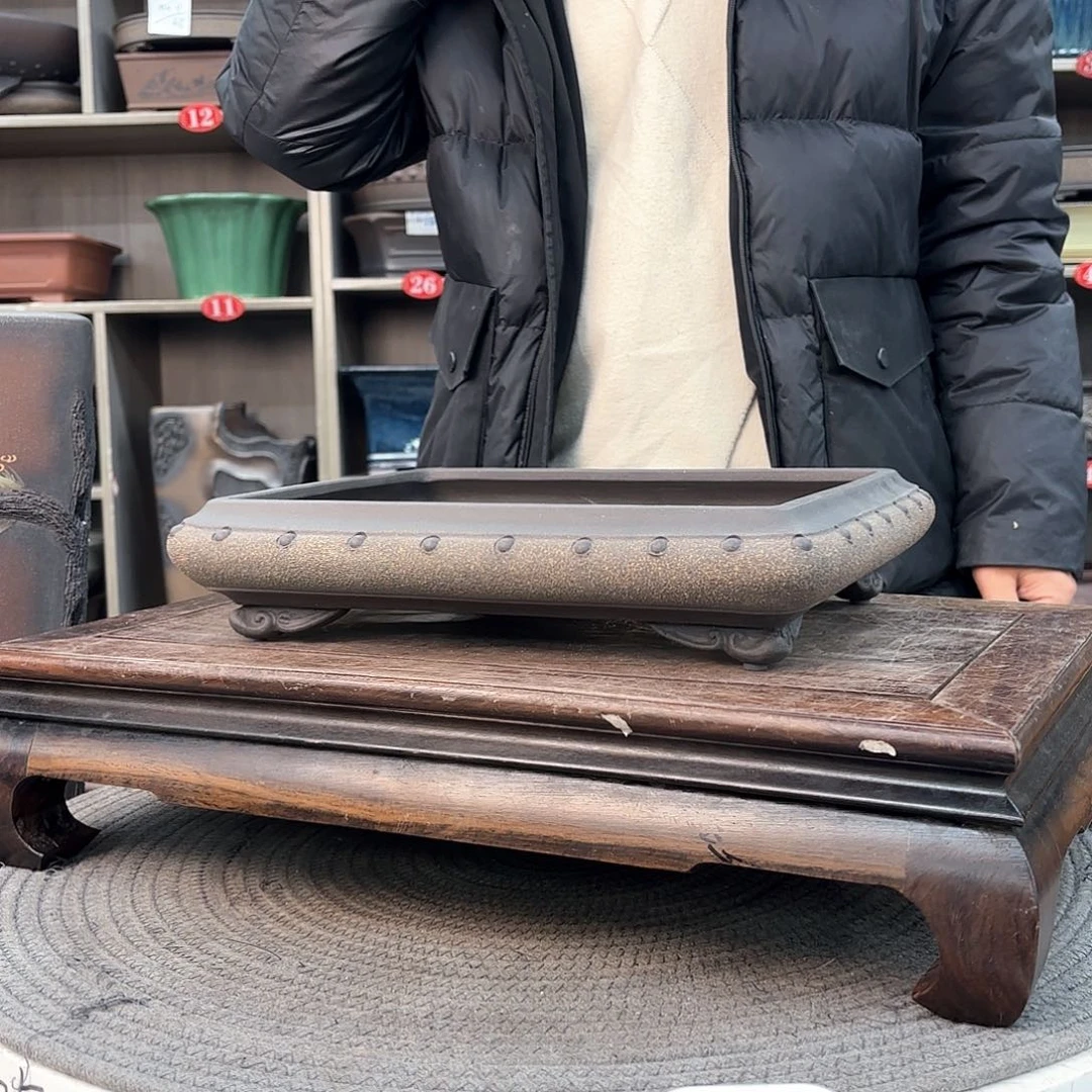 紫砂花盆柏*紫砂的颜色很好看