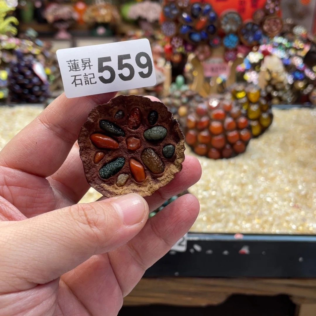 核桃木/黑胡桃（胡桃木）559