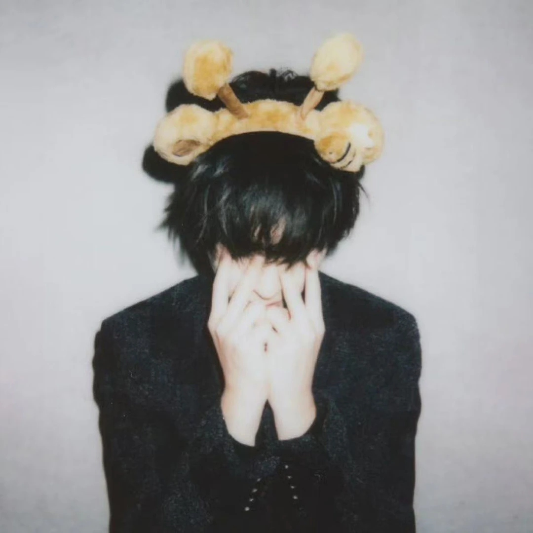 严浩翔同款毛绒蜜蜂小熊头饰可爱头箍洗脸发箍游乐场拍照发卡发饰