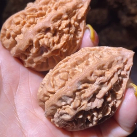 文玩核桃把件东北野生楸子小美105