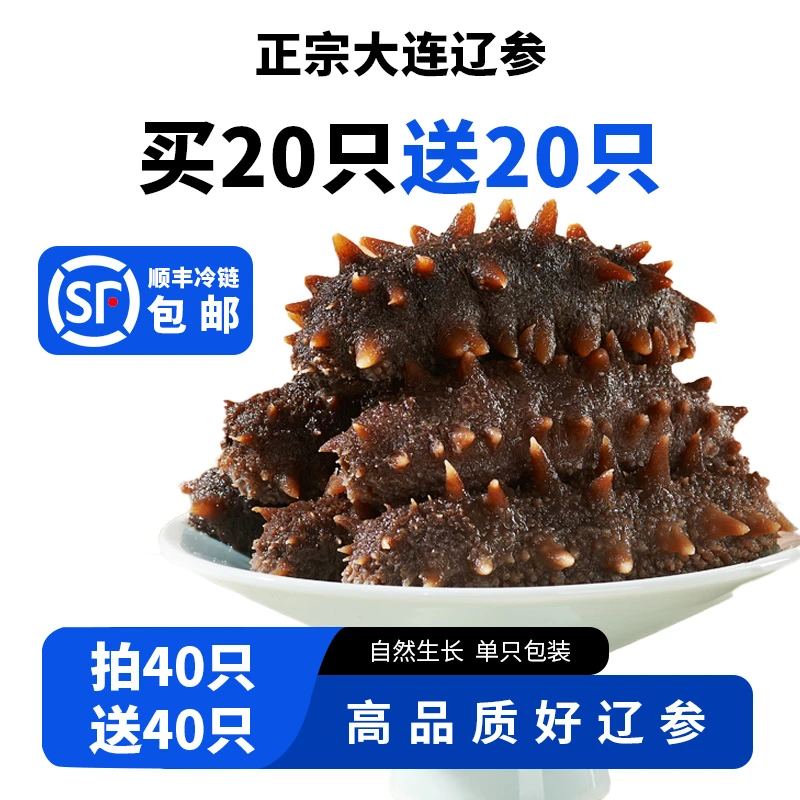 正宗大连冷冻辽参拍20只送20只产地直发顺丰包邮