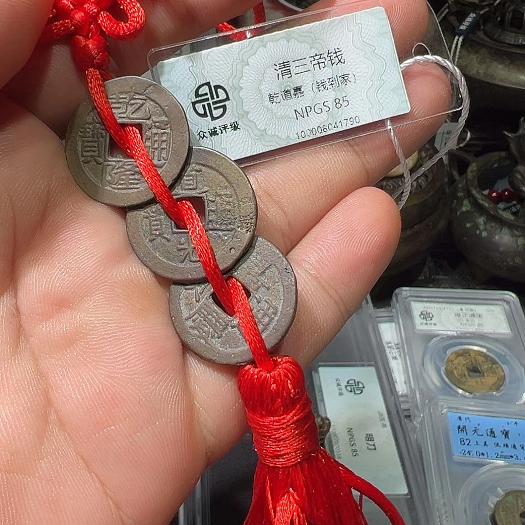 铜钱到家多宝555555555555555