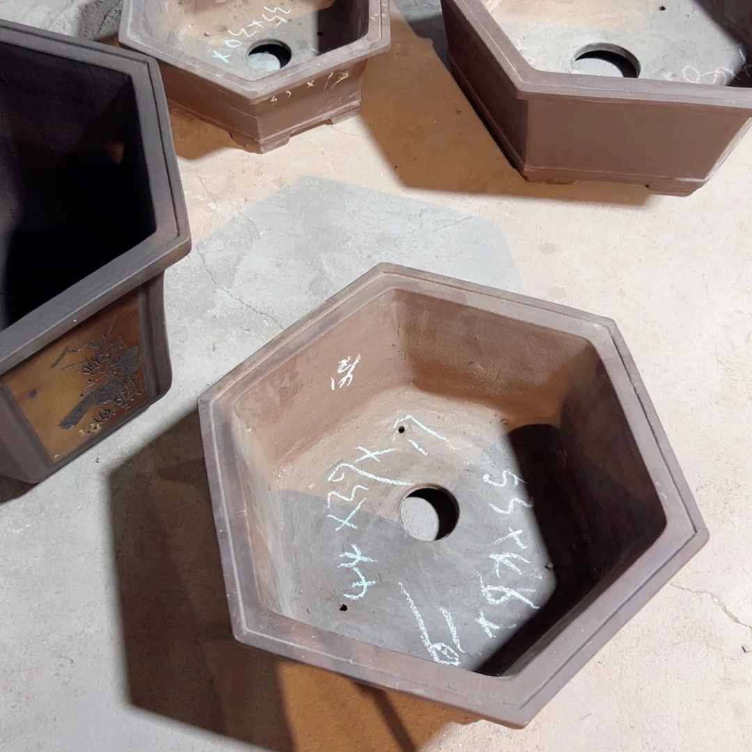 漂口矮六方2号一个