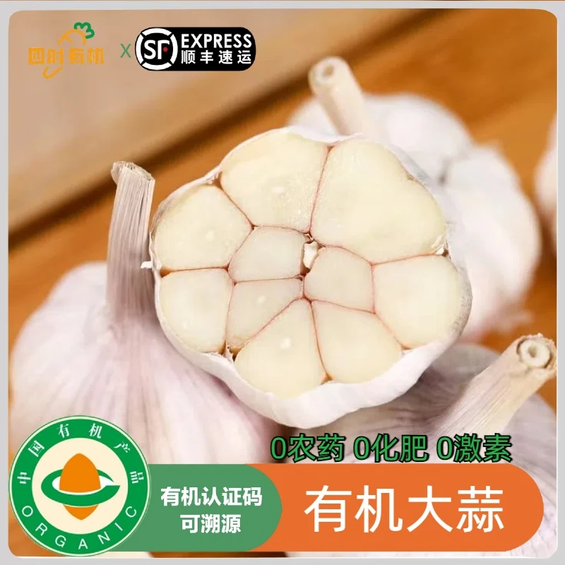 有机干蒜2斤/1斤 农场直发新鲜蒜头大蒜多瓣蒜无农残生吃干拌食材